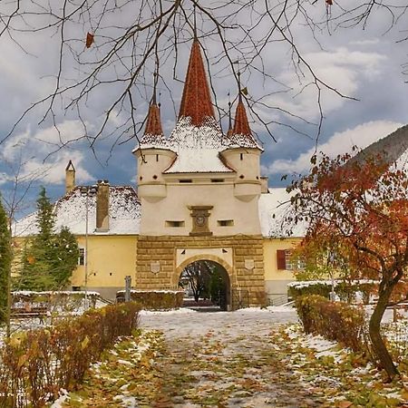 Avantgarden Brasov, Perfect Home - 1 Room Apartment 外观 照片