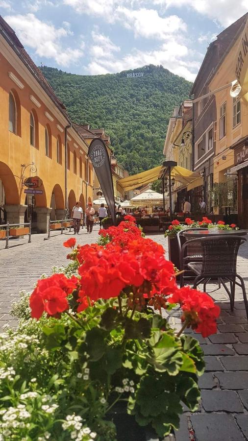 Avantgarden Brasov, Perfect Home - 1 Room Apartment 外观 照片
