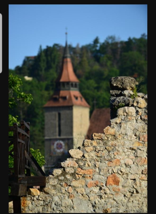Avantgarden Brasov, Perfect Home - 1 Room Apartment 外观 照片