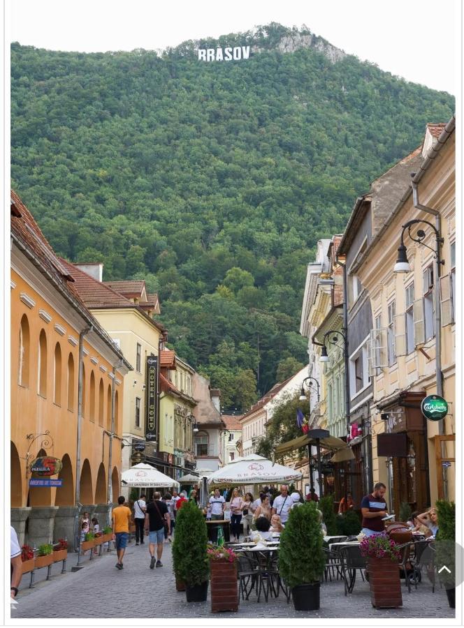 Avantgarden Brasov, Perfect Home - 1 Room Apartment 外观 照片